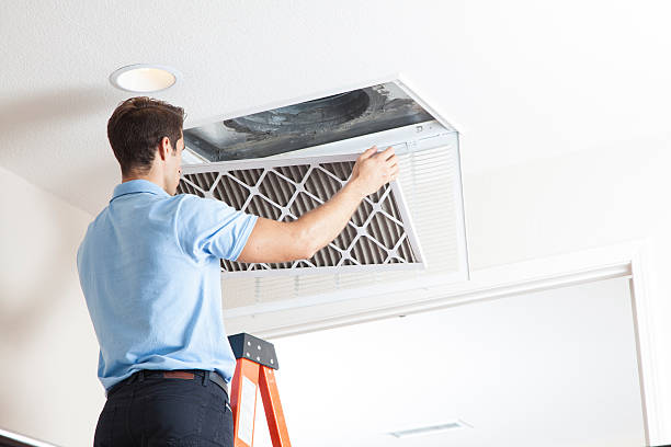 Best Air Filters and Purifiers in Cutlerville, MI